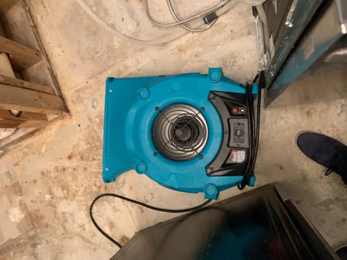 Air mover drying equipment for Mold Remediation & Removal in Amelia
